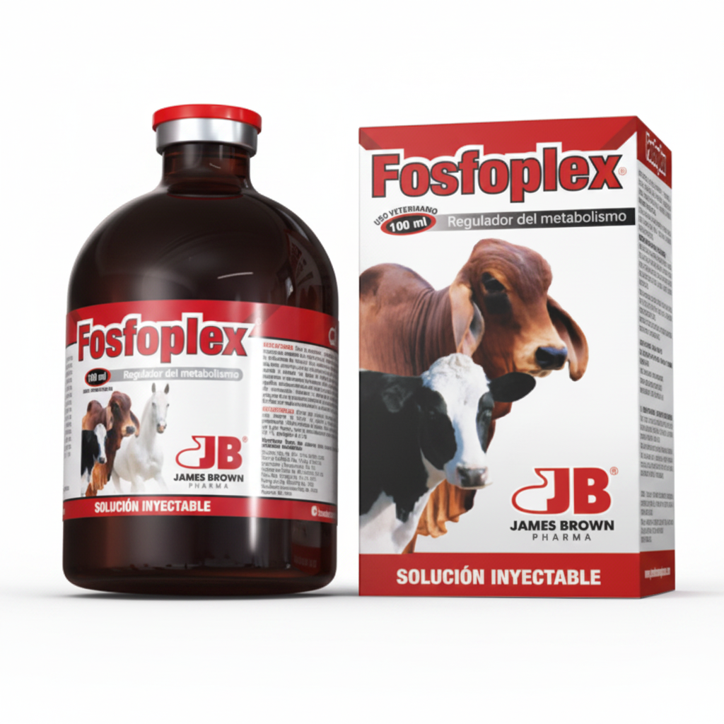 Fosfoplex – Suplementos veterinarios