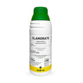 GLAMORATE