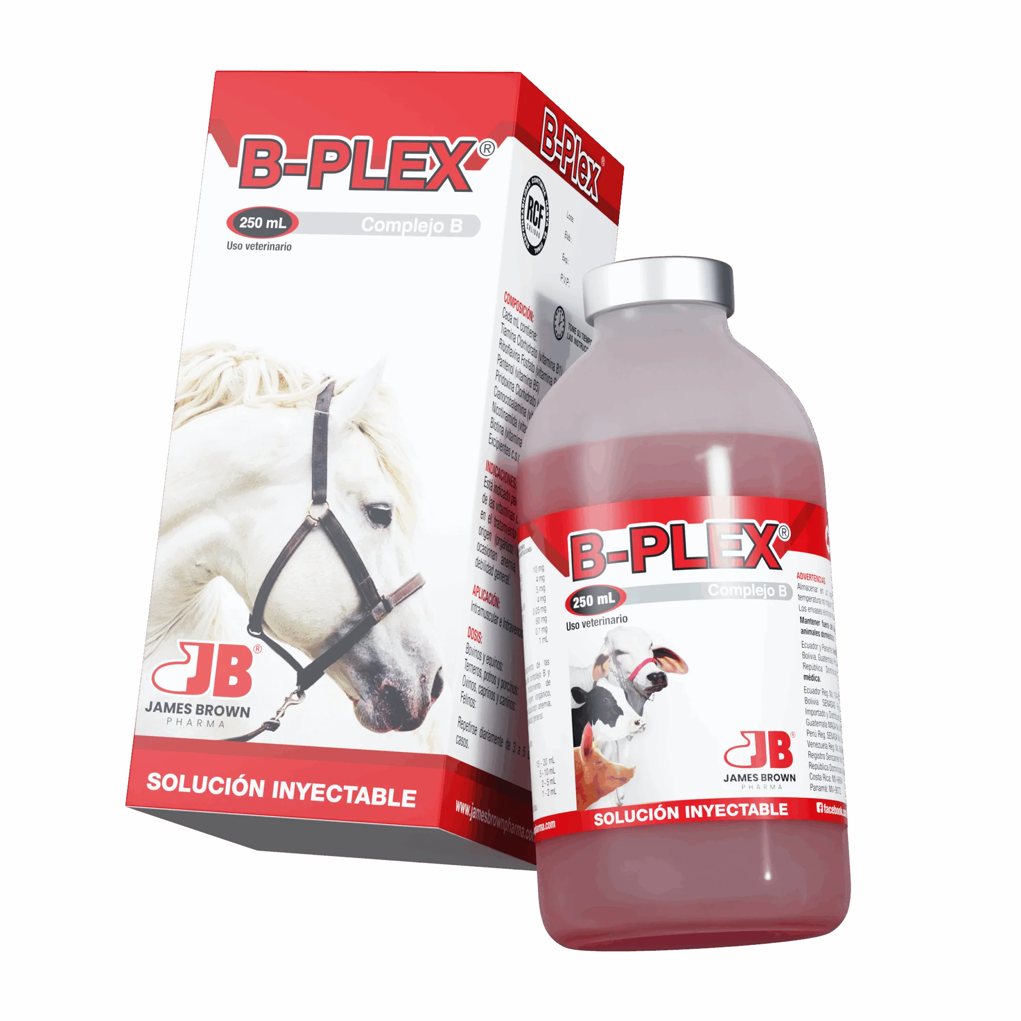 B-PLEX Vitaminas Complejo B