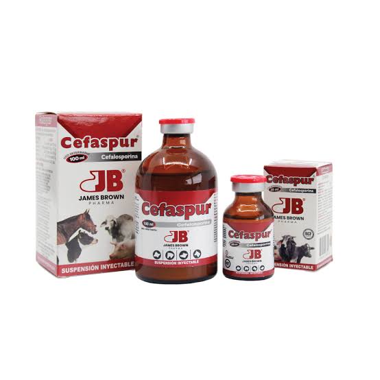 Cefaspur – Medicamentos veterinarios