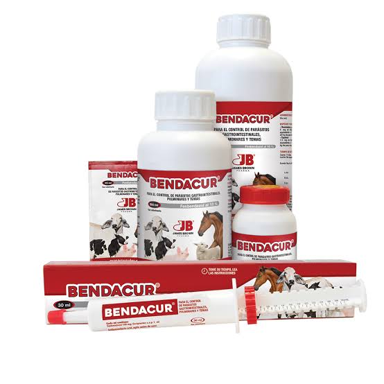 BENDACUR – Fenbendazol 10%